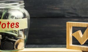 What Goes Into Successful Ballot Initiative