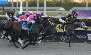 Pegasus World Cup becomes focal point of FL Horse Racing