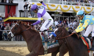 Florida Derby Attracts Contenders