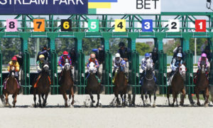A premiere Florida horse race: the Fountain of Youth Stakes