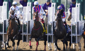 Horse racing odds and preview for the Grade II Tampa Bay Derby
