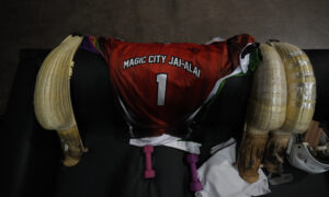 Battle Court jai-alai
