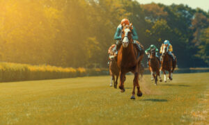 Caesars Florida online racebook