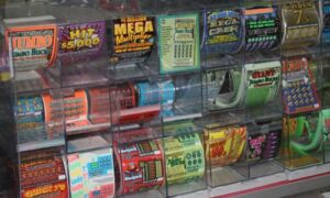 Pinetta man credits pregnant dog in $2 million lottery win