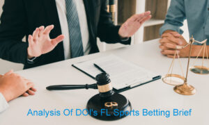 DOI Brief In Florida Sports Betting Appeal