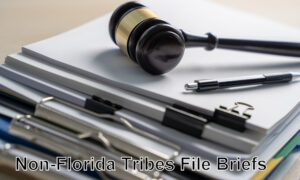 Tribes file amicus brief in Florida sports betting lawsuit