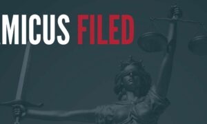 Former plaintiff files brief in Florida sports betting appeal