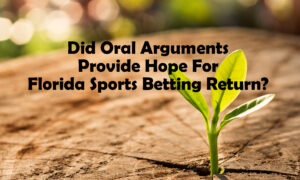 Florida sports betting oral arguments provide hope for return