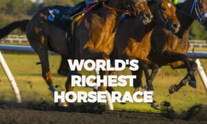 Big bucks will be bet in Florida on 2023 Pegasus World Cup