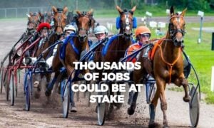 Florida harness racing could return under legislation