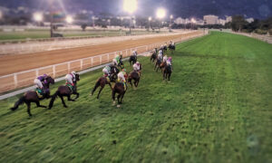 Florida horse racing features seven-figures in purses