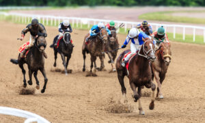 Florida horse racing gulfstream preview