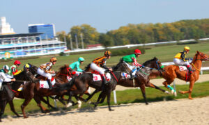 Florida horse racing returns after rain