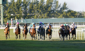 Royal Palm Meet at Gulfstream Park info, from playfl.com