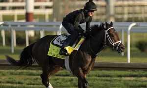 Fierceness practicing for the Kentucky Derby