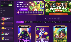 DingDingDing Casino comprehensive expert review